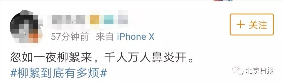 当心！北京这场“飞雪”是可燃的