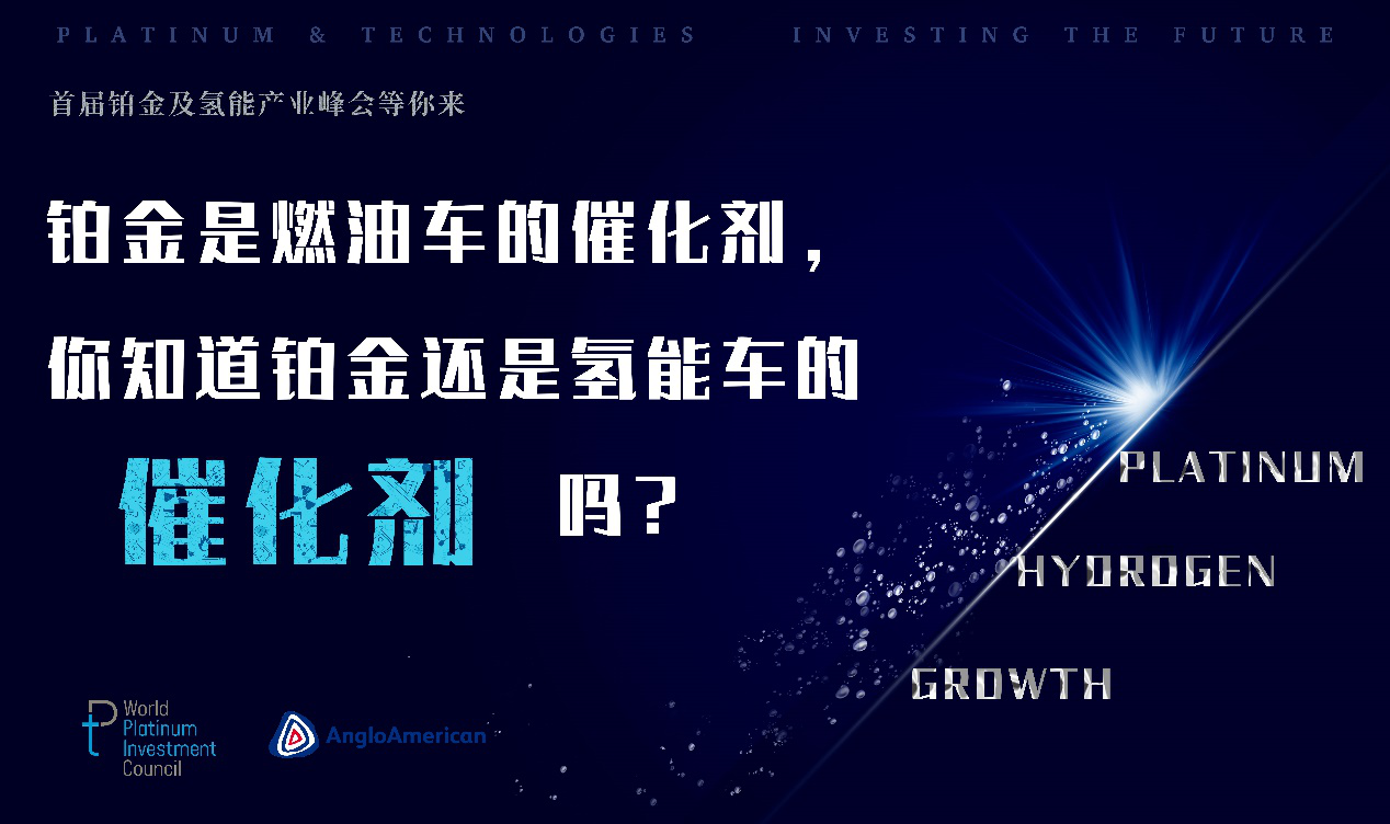 立足氢能产业蓝海，铂金投资未来！首届铂金与氢能产业峰会重磅来袭！