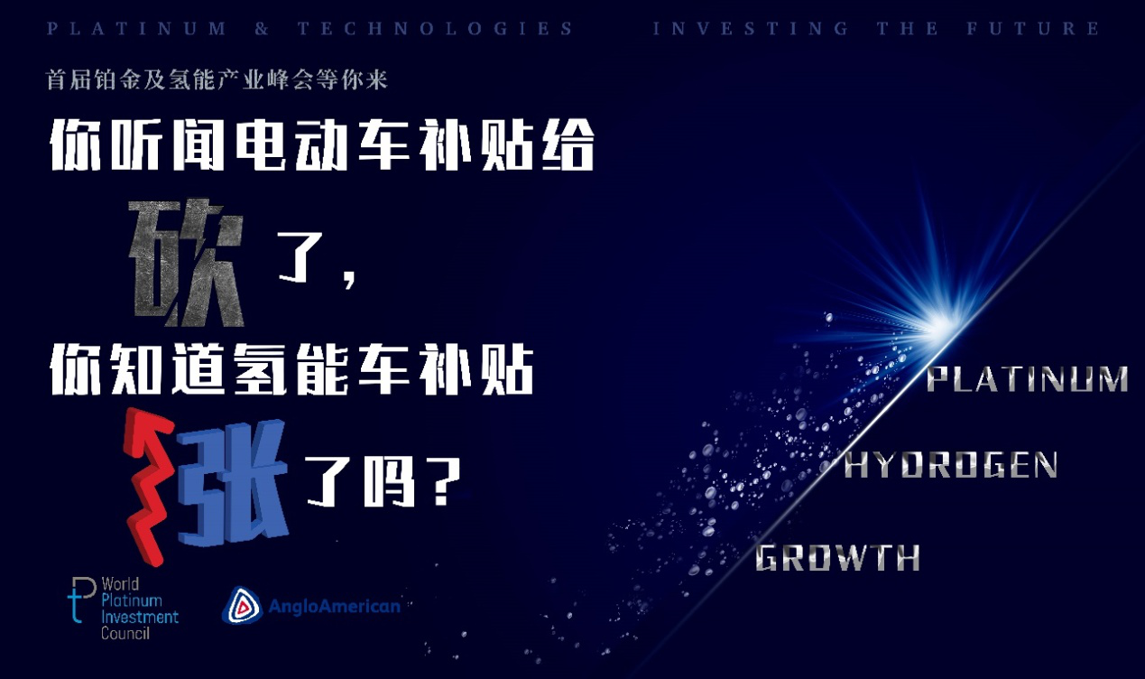 立足氢能产业蓝海，铂金投资未来！首届铂金与氢能产业峰会重磅来袭！