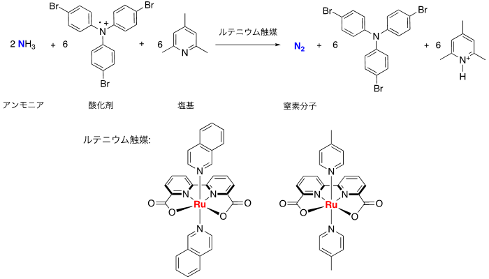 实现“氨社会”，高性能燃料电池催化剂获得新突破