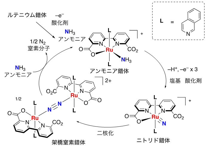 实现“氨社会”，高性能燃料电池催化剂获得新突破