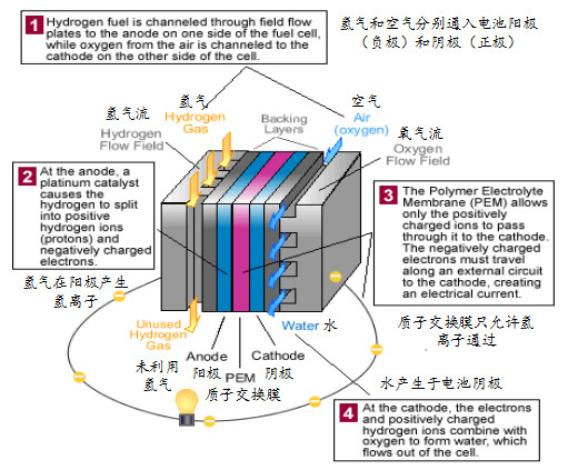 干货分享：氢燃料电池车的工作原理分析