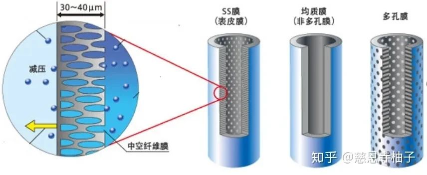 分析 | 氢燃料电池增湿器选型解析