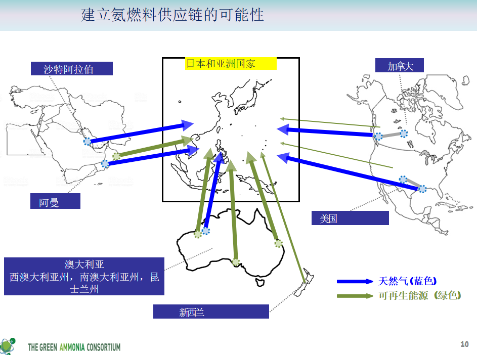 创造绿色能源市场，燃油氨建立价值链的努力