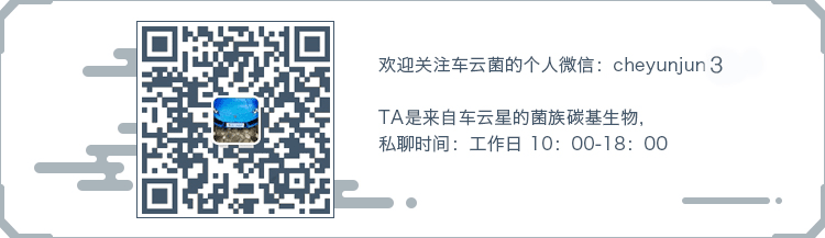 外资零部件品牌开抢汽车后市场，玩电商各有心机 【图】