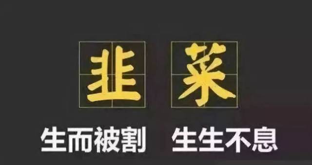 本田停产氢燃料，为啥炸翻了我们的“朋友圈”？