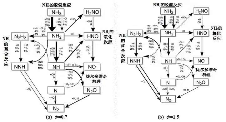 氨气作为氢能载体和无碳燃料的研究进展与展望