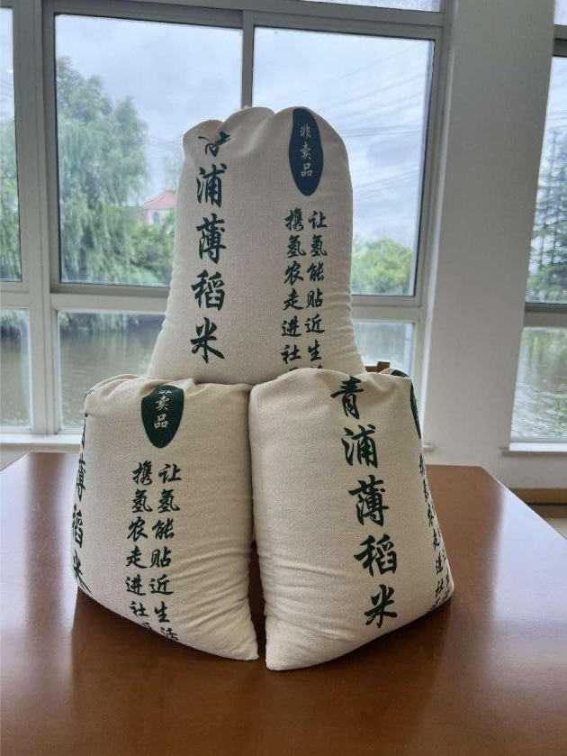 江苏比利特打造“工业互联网+氢能产业群”
