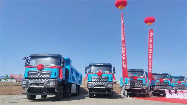 2025上半年各类新能源重卡都卖到哪里去了？