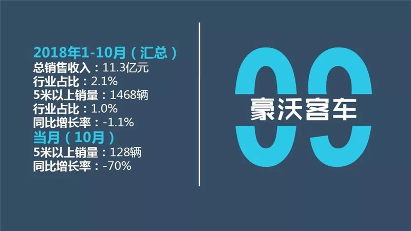 客车2018年1-10月排行榜 (15)