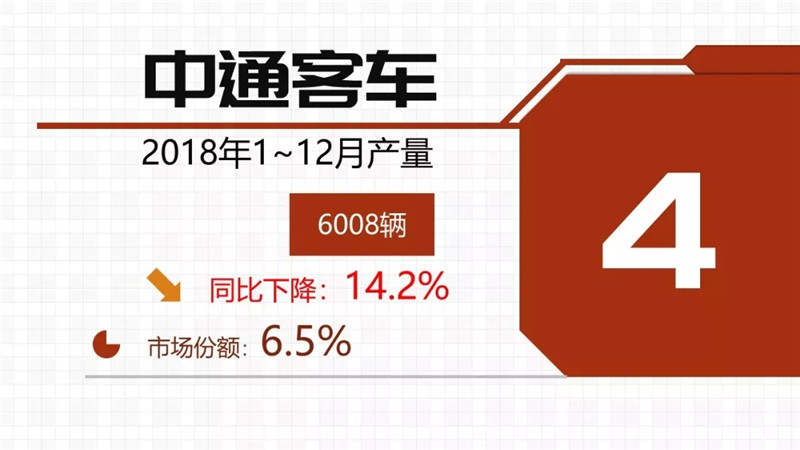 2018年纯电动客车 (6)